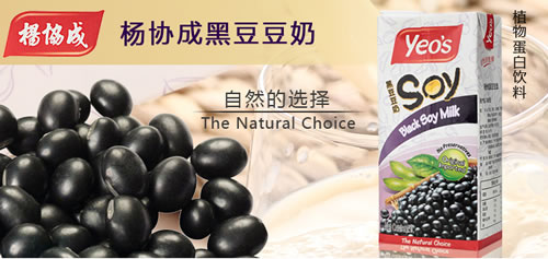 杨协成黑豆豆奶