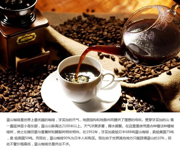 牙买加蓝山咖啡豆