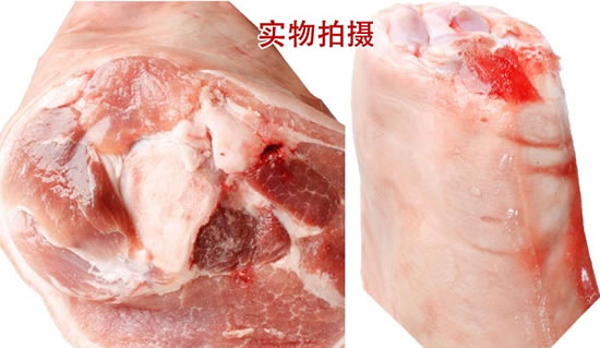 加拿大猪前肘
