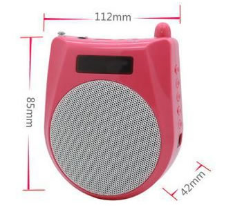 大行S-1008扩音器