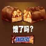 士力架 花生夹心巧克力家庭装桶装 460g/桶*2桶 京东商城价格59.9包邮