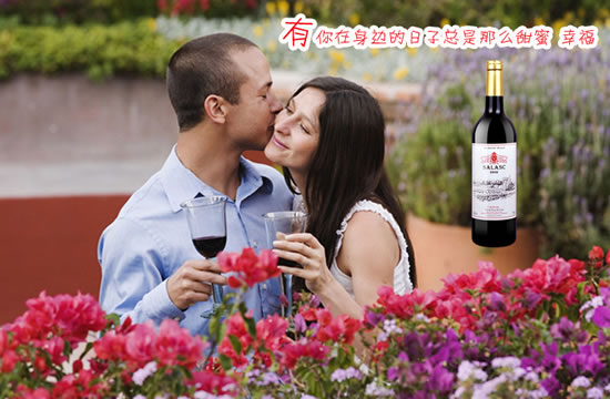 萨拉斯干红葡萄酒