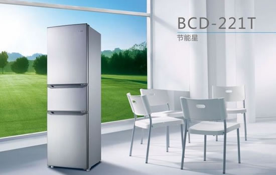 格兰仕BCD-221T冰箱