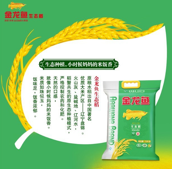 金龙鱼专场满99送900ml黄金比例调和油