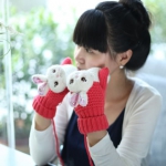 女士保暖手套 天猫拍下价格12.8包邮