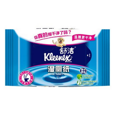 舒洁湿厕纸40片装 