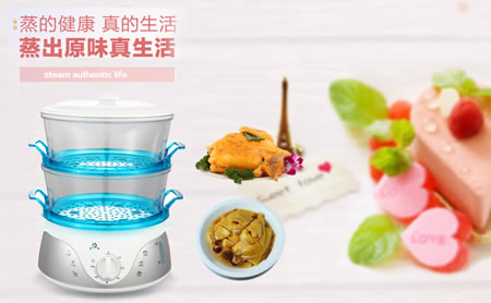 涛声 TS-9688-2I电蒸锅 