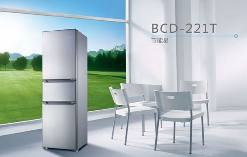 格兰仕BCD-221T冰箱