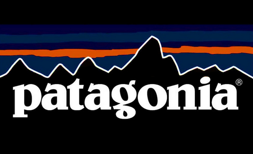 Patagonia 男士Drifter AC GTX防水徒步鞋