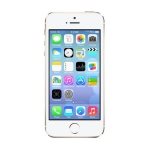 苹果 iPhone 5S  16GB 土豪金 电信版裸机 易迅网价格4898包邮（限北京、上海、深圳仓）