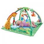 Fisher-Price 热带雨林 宝宝音乐健身毯 美国Amazon价格34美元 海淘到手约331RMB