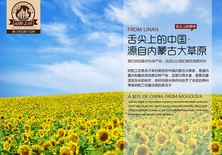 真心 香瓜子8袋组合装