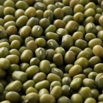 凑单佳品！晶珍有机绿豆 500g  京东商城价格9.9