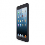 苹果 iPad mini 64G WiFi版 黑色  京东商城价格2699包邮