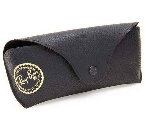 Ray-Ban RB4169旅行者太阳镜