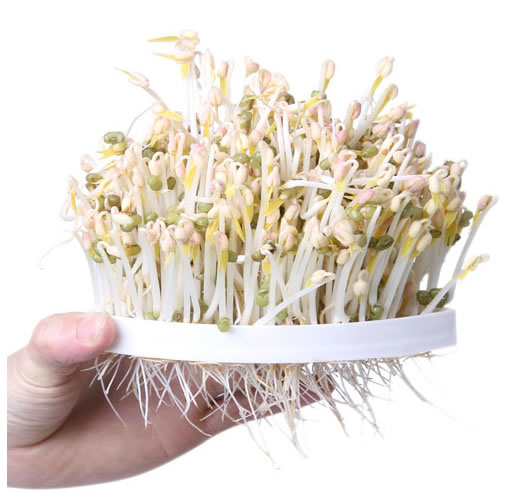 乐倍MLD-106豆芽机
