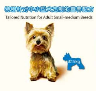 宝路 中小型犬成犬深海鱼味犬粮