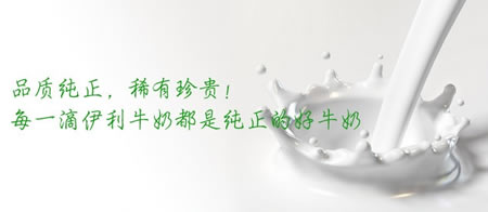 伊利 利乐包金典奶