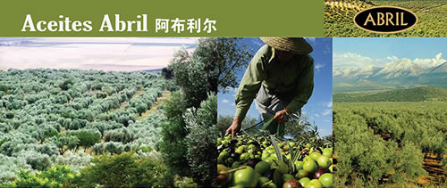 阿布利尔 进口特级初榨橄榄油