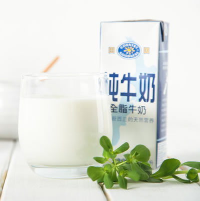 田园 全脂牛奶
