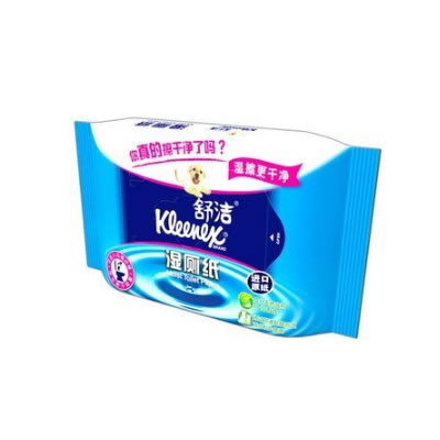 舒洁 湿厕纸家庭装