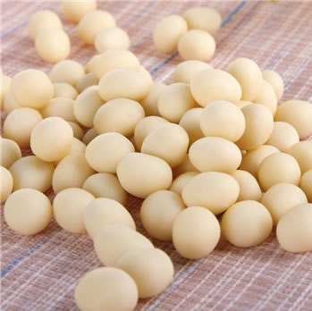 天美华乳 牧场牛奶提子奶豆