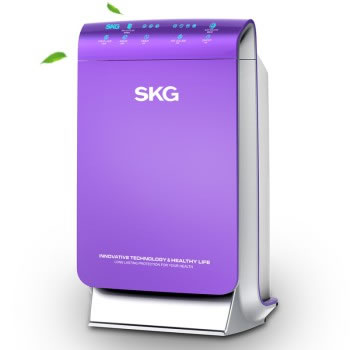 SKG 4202空气净化器