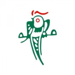 中国麻将队在麻将欧锦赛惨败