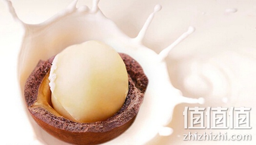 饕哥夏威夷果