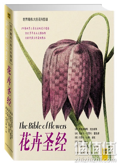 精选图书满100减50