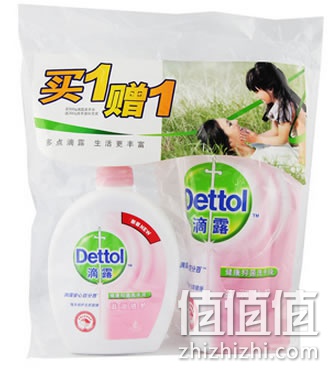 滴露健康抑菌洗手液