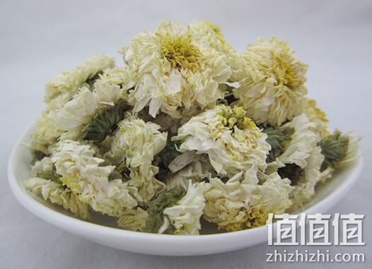 黄山贡菊花茶