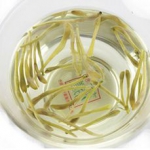 特级精选金银花花茶40g 淘宝网价格