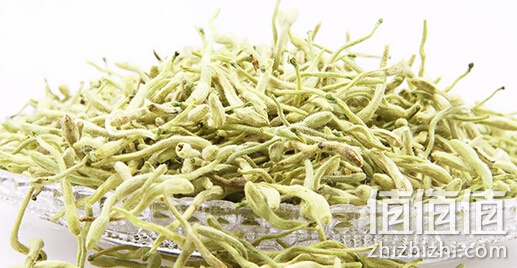 金银花花茶