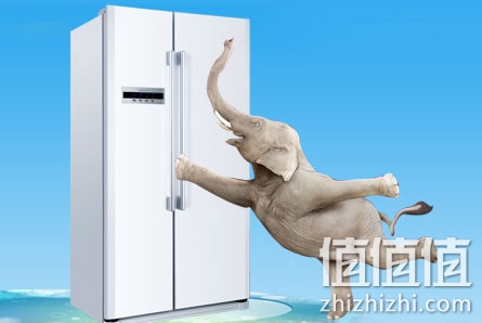 海尔统帅冰箱