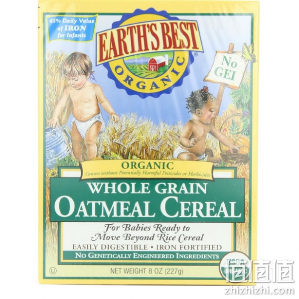 Earth's Best地球最佳有机燕麦片