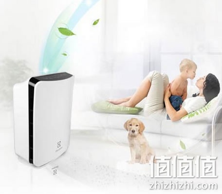 伊莱克斯空气净化器