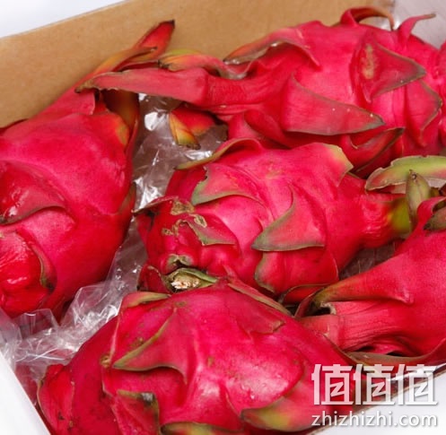 红心火龙果