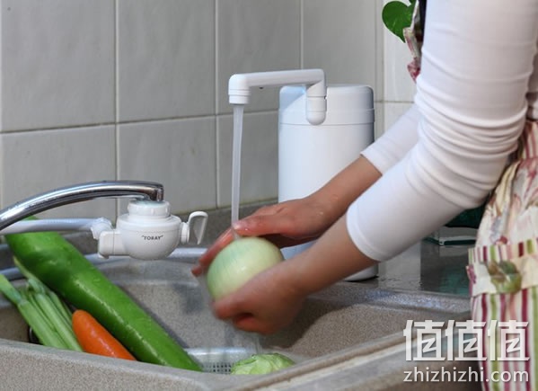 东丽比诺净水器