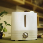 小熊 JSQ-WA240 4L加湿器  京东商城价格