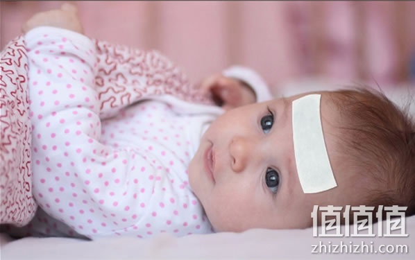 棒棒猪婴儿退烧贴