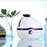 小熊 JSQ-S1133 1L迷你加湿器 京东商城价格