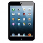 苹果 iPad mini MD540CH/A Wi-Fi + Cellular 16GB 新蛋网