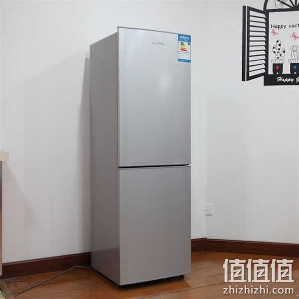 澳柯玛BCD-176NE两门冰箱