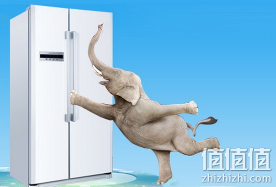 海尔统帅对开门冰箱