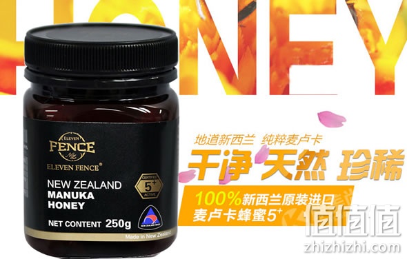 十一坊麦卢卡蜂蜜5+ 250g