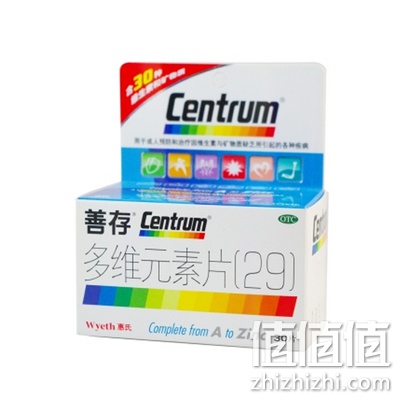 善存多维元素片(29)