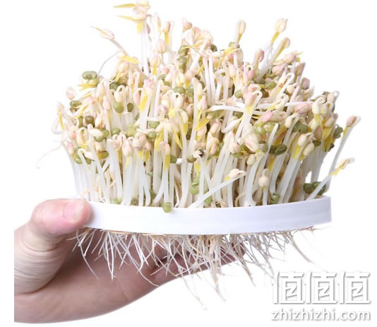 乐倍MLD-106全自动豆芽机
