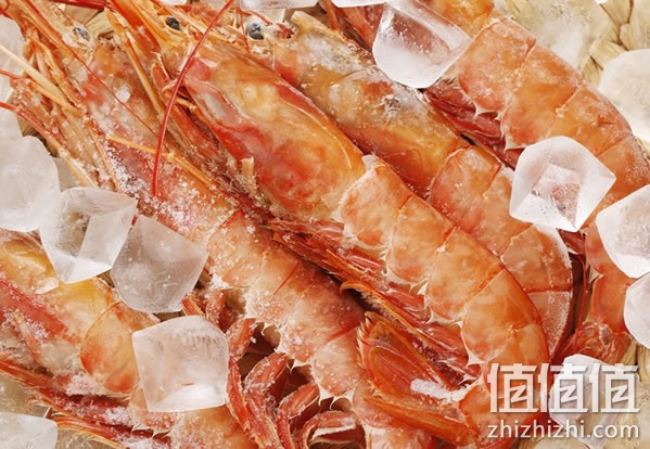 大洋世家阿根廷红对虾