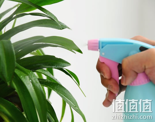 喷水壶